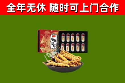柳州市回收冬虫夏草价格